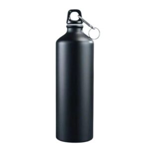 Customized Steel Bottle Single Wall 650ml